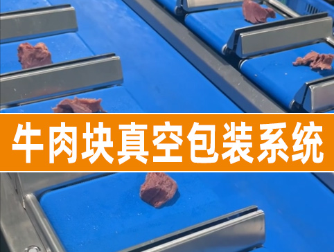 牛肉塊真空包裝系統(tǒng)