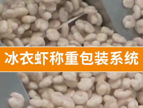 冰衣蝦稱重包裝系統(tǒng)