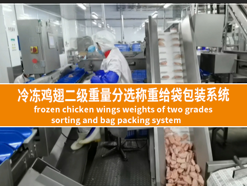 冷凍雞翅二級重量分選稱重給袋包裝系統(tǒng)