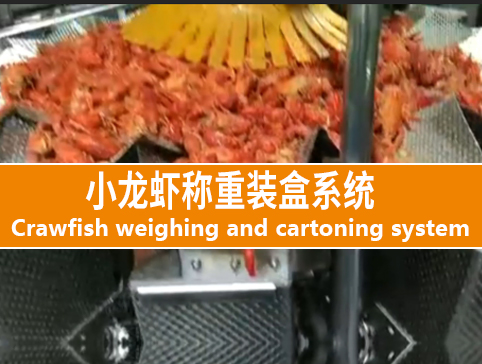 小龍蝦稱重系統(tǒng)